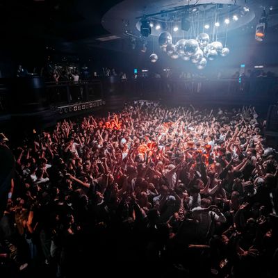 Freshers Welcome Party